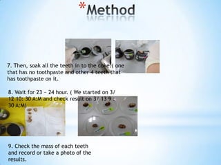 *
7. Then, soak all the teeth in to the coke.( one
that has no toothpaste and other 4 teeth that
has toothpaste on it.
8. Wait for 23 ~ 24 hour. ( We started on 3/
12 10: 30 A:M and check result on 3/ 13 9 :
30 A:M)
9. Check the mass of each teeth
and record or take a photo of the
results.
 