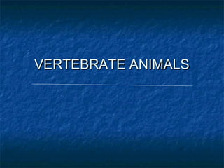 VERTEBRATE ANIMALS
 
