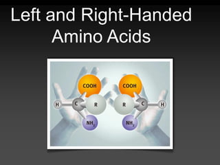 Left and Right-Handed
Amino Acids
 