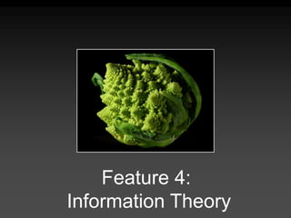 Feature 4:
Information Theory
 