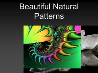 Beautiful Natural
Patterns
 