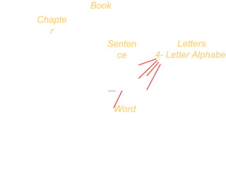 Q uic k Tim e™ and a
TI FF ( LZW ) dec om pr es s or
ar e needed t o s ee t his pic t ur e.
Letters
4- Letter Alphabet
Chapte
r
Book
Word
Senten
ce
 