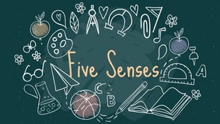 Five Senses
 