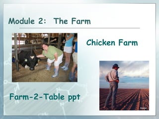 Module 2: The Farm Chicken Farm Farm-2-Table ppt