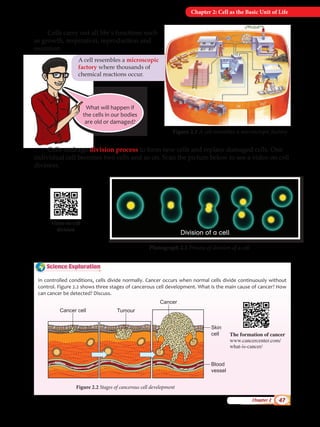 Science Form 1 Science Form 1 Science Form | PDF