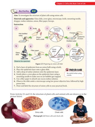 Science Form 1 Science Form 1 Science Form | PDF