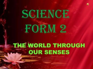 SCIENCE FORM 2 THE WORLD THROUGH OUR SENSES 