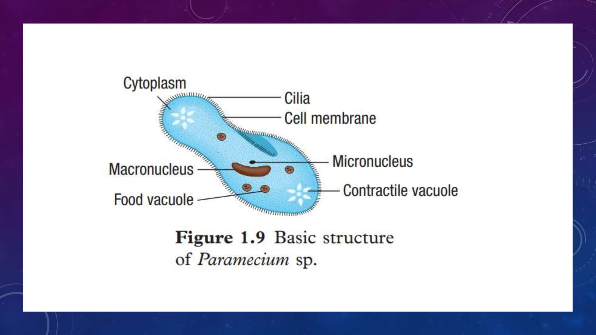 SCIENCE FORM 5 CHAPTER 1_MICROORGANISMS KSSM | PPTX