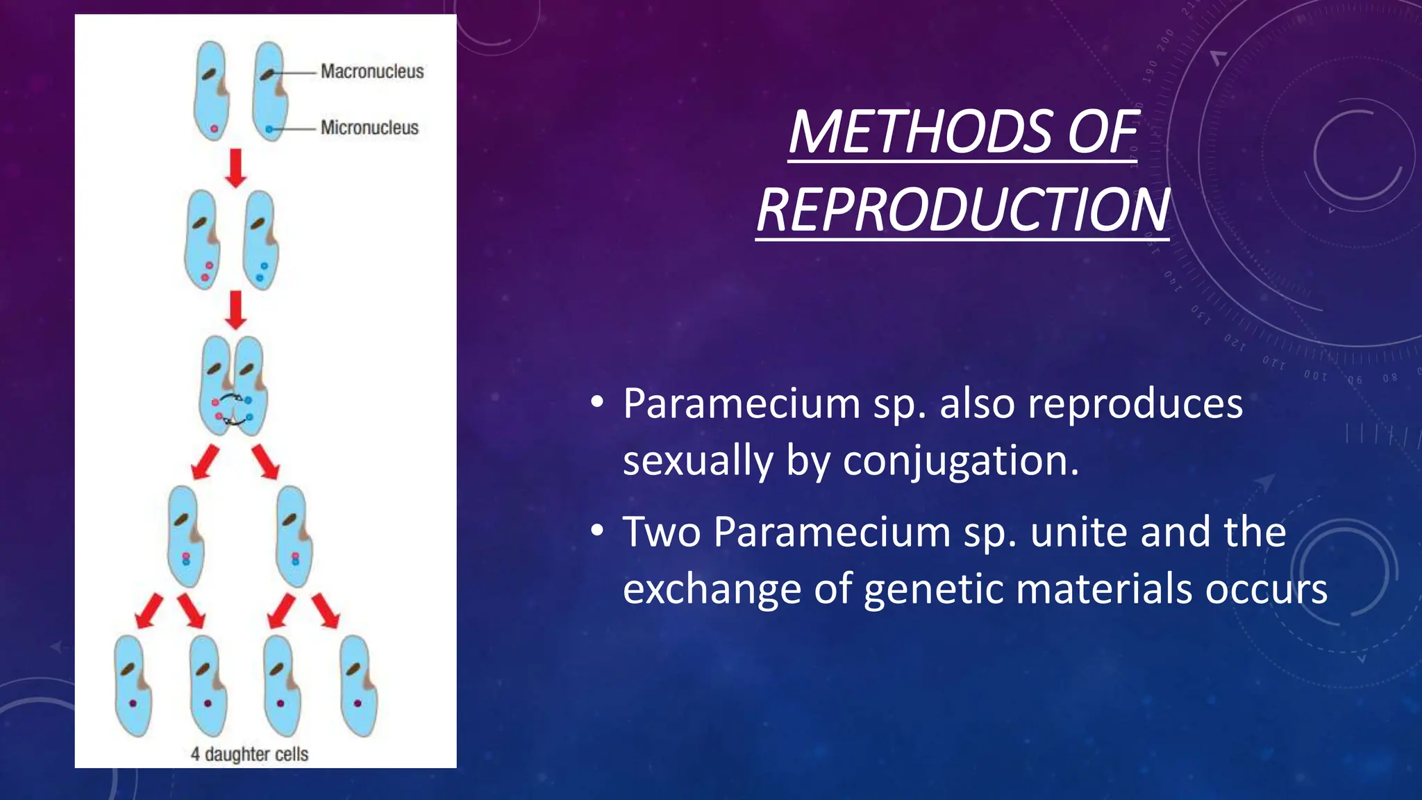 SCIENCE FORM 5 CHAPTER 1_MICROORGANISMS KSSM | PPTX