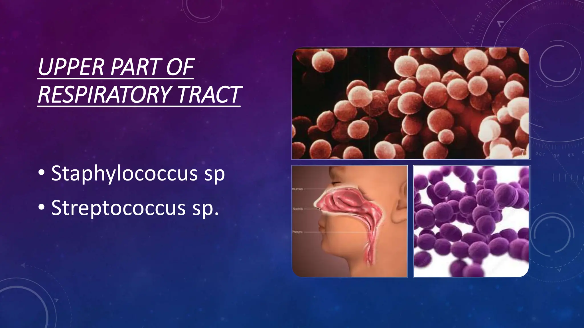 SCIENCE FORM 5 CHAPTER 1_MICROORGANISMS KSSM | PPTX