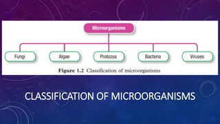 CLASSIFICATION OF MICROORGANISMS
 
