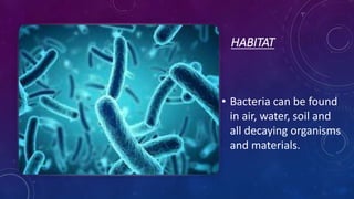 HABITAT
• Bacteria can be found
in air, water, soil and
all decaying organisms
and materials.
 
