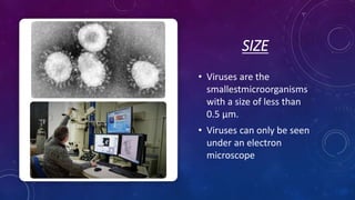 SIZE
• Viruses are the
smallestmicroorganisms
with a size of less than
0.5 μm.
• Viruses can only be seen
under an electron
microscope
 