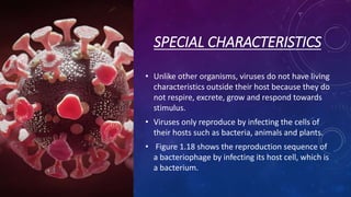 SPECIAL CHARACTERISTICS
• Unlike other organisms, viruses do not have living
characteristics outside their host because they do
not respire, excrete, grow and respond towards
stimulus.
• Viruses only reproduce by infecting the cells of
their hosts such as bacteria, animals and plants.
• Figure 1.18 shows the reproduction sequence of
a bacteriophage by infecting its host cell, which is
a bacterium.
 
