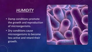 HUMIDITY
• Damp conditions promote
the growth and reproduction
of microorganisms.
• Dry conditions cause
microorganisms to become
less active and retard their
growth.
 