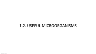 Sensitivity: Internal
1.2. USEFUL MICROORGANISMS
 