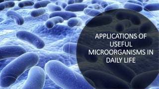 APPLICATIONS OF
USEFUL
MICROORGANISMS IN
DAILY LIFE
 