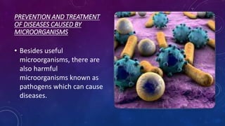 PREVENTION AND TREATMENT
OF DISEASES CAUSED BY
MICROORGANISMS
• Besides useful
microorganisms, there are
also harmful
microorganisms known as
pathogens which can cause
diseases.
 