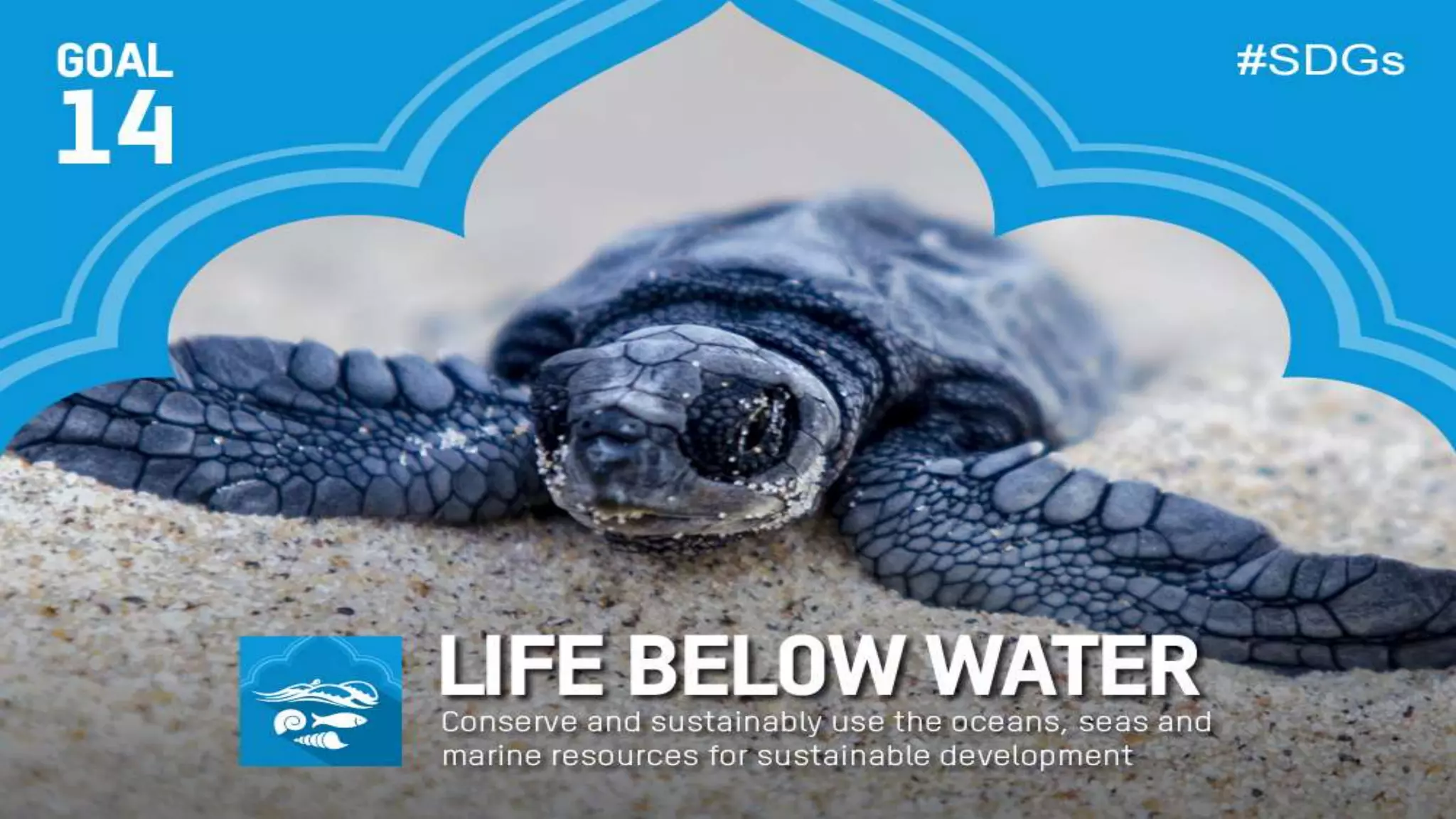 31 7/2/2021 Add a footer
 