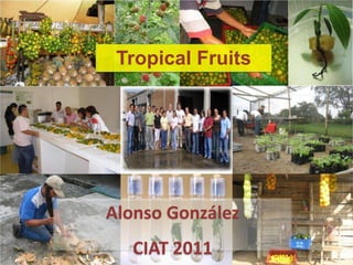 Tropical Fruits Alonso González CIAT 2011 