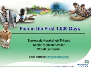 Fish in the First 1,000 Days ShakuntalaHaraksinghThilsted Senior Nutrition Adviser WorldFishCenter Email address: s.thilsted@cgiar.org 