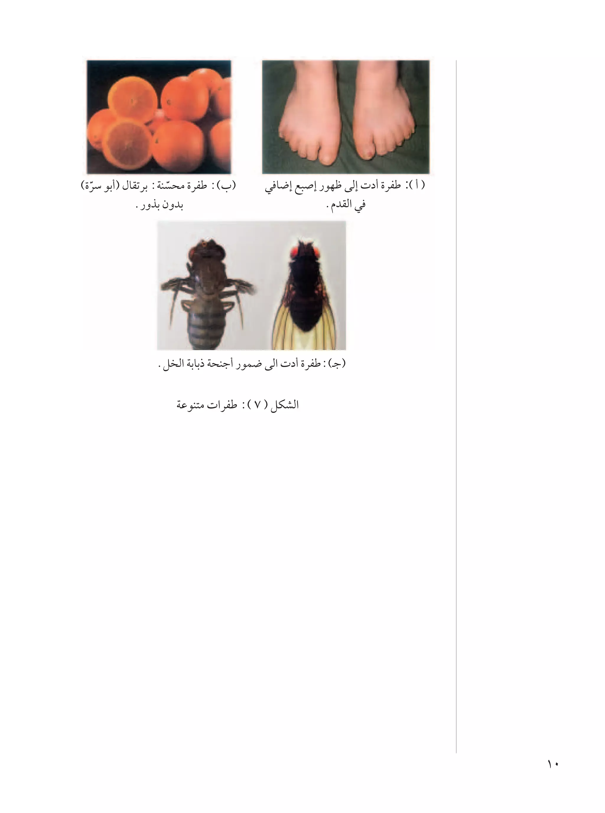 ©…dÝ uÐ√® ‰UIðdÐ ∫WM Ò ×Ä …dHÞ ∫©»®
  Ò                                    w U{≈ l³ ≈ —uNþ vÃ≈  œ√ …dHÞ :© √ ®
            Æ—ËcÐ ÊËbÐ                             ÆÂbIÃ« w




                Æq Ã« WÐUÐ– W×Mł√ —uL{ vÃ«  œ√ …dHÞ∫©?ł®


                     WŽuM²Ä  «dHÞ ∫© ∑ ® qJAÃ«




                                                                             ±∞
 