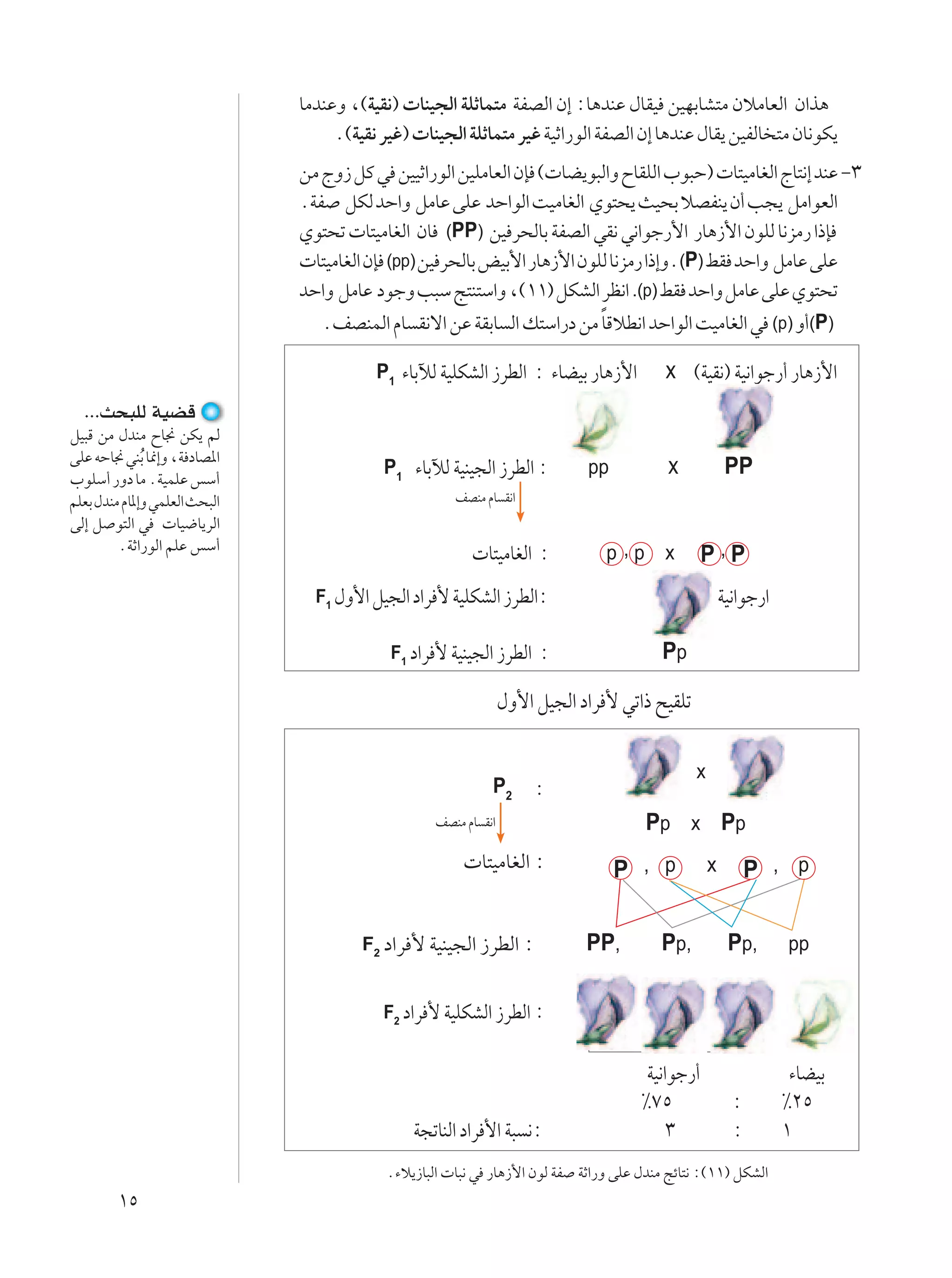 UÄbMŽË ¨©WOI½®  UMO−Ã« WKŁUL²Ä WHBÃ« Ê≈ ∫U¼bMŽ ‰UIO sONÐUA²Ä ÊöÄUFÃ« Ê«c¼
                                    Æ©WOI½ dOž®  UMO−Ã« WKŁUL²Ä dOž WOŁ«—uÃ« WHBÃ« Ê≈ U¼bMŽ ‰UI¹ sOHÃU ²Ä ÊU½uJ¹
                               sÄ ÃË“ qÂ w sOOŁ«—uÃ« sOKÄUFÃ« ÊS © UC¹u³Ã«Ë ÕUIKÃ« »u³Š®  U²OÄUGÃ« ÃU²½≈ bMŽ ≠≥
                               ÆWH qJÃ bŠ«Ë qÄUŽ vKŽ bŠ«uÃ« XOÄUGÃ« Íu²×¹ YO×Ð öBHM¹ Ê√ V−¹ qÄ«uFÃ«
                               Íu²×ð  U²OÄUGÃ« ÊU (PP) sO d×ÃUÐ WHBÃ« wI½ w½«uł—_« —U¼“_« ÊuKÃ U½eÄ— «–S
                                U²OÄUGÃ« ÊS (pp) sO d×ÃUÐ iOÐ_« —U¼“_« ÊuKÃ U½eÄ— «–≈ËÆ(P) jI bŠ«Ë qÄUŽ vKŽ
                               bŠ«Ë qÄUŽ œułË V³Ý Z²M²Ý«Ë ¨©±±® qJAÃ« dE½« .(p) jI bŠ«Ë qÄUŽ vKŽ Íu²×ð
                                  ÆnBMLÃ« ÂU I½ô« sŽ WIÐU Ã« p²Ý«—œ sÄ UÁöD½« bŠ«uÃ« XOÄUGÃ« w (p) Ë√(P)
                                                                          Î

                                          P1 ¡UÐxÃ WOKJAÃ« “dDÃ« ∫ ¡UCOÐ —U¼“_«            x ©WOI½® WO½«uł—√ —U¼“_«
  ÆÆÆY×³KÃ WOCÁ
qO³Á sÄ ‰bMÄ ÕU$ sJ¹ rÃ
                                           P1 ¡UÐxÃ WOMO−Ã« “dDÃ« ∫            pp          x               PP
vKŽ tŠU$ wMÐ U/≈Ë ¨W œUB*«
              Ô
»uKÝ√ —Ëœ UÄ ÆWOLKŽ fÝ√
rKFÐ ‰bMÄ ÂU*≈Ë wLKFÃ« Y×³Ã«                            nBMÄ ÂU I½«
vÃ≈ q u²Ã« w  UO{U¹dÃ«
         ÆWŁ«—uÃ« rKŽ fÝ√
                                                            U²OÄUGÃ« ∫              p,p    x       P,P
                                 F1 ‰Ë_« qO−Ã« œ«d _ WOKJAÃ« “dDÃ«∫                                       WO½«uł—«

                                            F1 œ«d   _ WOMO−Ã« “dDÃ« ∫                     Pp

                                                                   ‰Ë_« qO−Ã« œ«d _ wð«– `OIKð

                                                                                                  x
                                                               P2       ∫
                                                     nBMÄ ÂU I½«                          Pp x Pp
                                                           U²OÄUGÃ« ∫               P , p             x         P , p

                                        F2 œ«d   _ WOMO−Ã« “dDÃ« ∫             PP,         Pp ,            Pp ,      pp


                                           F2 œ«d   _ WOKJAÃ« “dDÃ« ∫           ∫

                                                                                        WO½«uł—√                      ¡UCOÐ
                                                                                       •∑µ                  ∫        •≤µ
                                                 W−ðUMÃ« œ«d _« W³ ½∫                       ≥               ∫        ±
                                            Æ¡ö¹“U³Ã«  U³½ w —U¼“_« ÊuÃ WH WŁ«—Ë vKŽ ‰bMÄ ZzU²½ ∫©±±® qJAÃ«
        ±µ
 