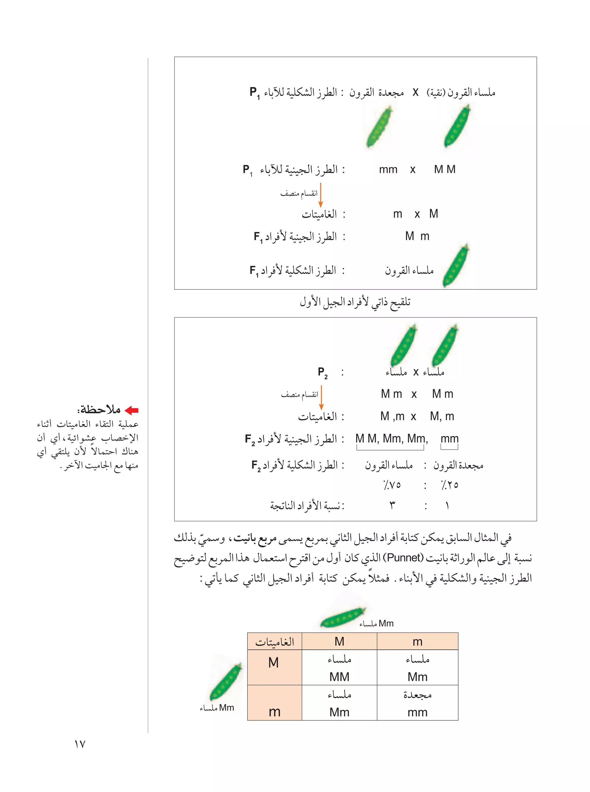 P1 ¡UÐxÃ WOKJAÃ« “dDÃ« ∫ ÊËdIÃ« …bF−Ä x ©WOI½® ÊËdIÃ« ¡U KÄ




                                                P1    ¡UÐxÃ WOMO−Ã« “dDÃ« ∫               mm      x       MM

                                                              nBMÄ ÂU I½«

                                                                     U²OÄUGÃ« ∫              m    x M
                                                     F1 œ«d   _ WOMO−Ã« “dDÃ« ∫                  M m

                                                 F1 œ«d   _ WOKJAÃ« “dDÃ« ∫                ÊËdIÃ« ¡U KÄ

                                                                   ‰Ë_« qO−Ã« œ«d _ wð«– `OIKð




                                                                            P2   ∫          ¡U KÄ x ¡U KÄ
                                                              nBMÄ ÂU I½«                  Mm x          Mm
           ∫WEŠöÄ                                                   U²OÄUGÃ« ∫            M ,m x         M, m
¡UMŁ√  U²OÄUGÃ« ¡UI²Ã« WOKLŽ
Ê√ Í√¨WOz«uAŽ »UBšù«                            F2 œ«d    _ WOMO−Ã« “dDÃ« ∫ M M, Mm, Mm, mm
Í√ wI²K¹ Ê_ ÎôUL²Š« „UM¼
      Ædšü« XOÄU'« lÄ UNMÄ                       F2 œ«d       _ WOKJAÃ« “dDÃ« ∫        ÊËdIÃ« ¡U KÄ ∫ ÊËdIÃ« …bF−Ä
                                                                                           •∑µ      ∫ •≤µ
                                                         W−ðUMÃ« œ«d _« W³ ½∫                ≥      ∫ ±

                               pÃcÐ wLÝË ¨XO½UÐ lÐdÄ vL ¹ lÐdLÐ w½U¦Ã« qO−Ã« œ«d √ WÐU²Â sJL¹ oÐU Ã« ‰U¦LÃ« w
                                    Ò
                               `O{u²Ã lÐdLÃ« «c¼ ‰ULF²Ý« Õd²Á« sÄ ‰Ë√ ÊUÂ ÍcÃ« ©Punnet® XO½UÐ WŁ«—uÃ« rÃUŽ vÃ≈ W³ ½
                                                                            Î
                                    ∫wðQ¹ ULÂ w½U¦Ã« qO−Ã« œ«d √ WÐU²Â sJL¹ ö¦L Æ¡UMÐ_« w WOKJAÃ«Ë WOMO−Ã« “dDÃ«


                                                                                      ¡U KÄ Mm
                                                      U²OÄUGÃ«                   M                m
                                                        M                    ¡U KÄ               ¡U KÄ
                                                                                 MM              Mm
                                                                             ¡U KÄ               …bF−Ä
                                     ¡U KÄ Mm
                                                        m                        Mm              mm

         ±∑
 