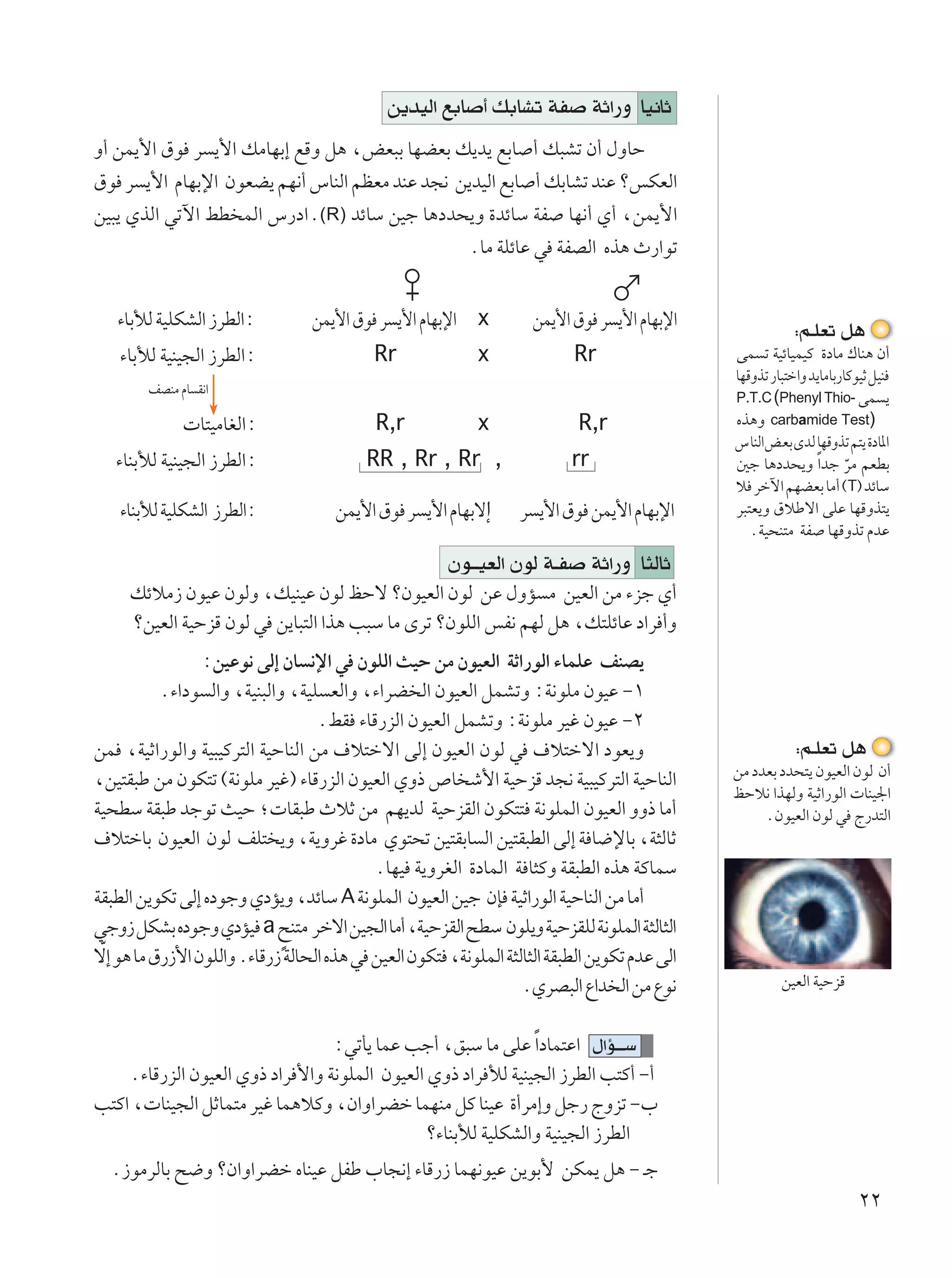 s¹bOÃ« lÐU √ pÐUAð WH WŁ«—Ë UO½UŁ
Ë√ sL¹_« ‚u d ¹_« pÄUNÐ≈ lÁË q¼ ¨iF³Ð UNCFÐ p¹b¹ lÐU √ p³Að Ê√ ‰ËUŠ
‚u d ¹_« ÂUNÐù« ÊuFC¹ rN½√ ”UMÃ« rEFÄ bMŽ b−½ s¹bOÃ« lÐU √ pÐUAð bMŽ øfJFÃ«
sO³¹ ÍcÃ« wðü« jD LÃ« ”—œ«Æ(R) bzUÝ sOł U¼œb×¹Ë …bzUÝ WH UN½√ Í√ ¨sL¹_«
                                               ÆUÄ WKzUŽ w WHBÃ« Ác¼ À—«uð


   ¡UÐúÃ WOKJAÃ« “dDÃ«∫          sL¹_« ‚u d ¹_« ÂUNÐù« x           sL¹_« ‚u d ¹_« ÂUNÐù«                ∫r?KFð q¼
    ¡UÐúÃ WOMO−Ã« “dDÃ«∫                   Rr              x              Rr                 vL ð WOzUOLOÂ …œUÄ „UM¼ Ê√
                                                                                             UNÁËcð —U³²š«Ë b¹UÄUÐ—UÂuOŁ qOM
                                                                                             P.T.C (Phenyl Thio- vL ¹
        nBMÄ ÂU I½«

               U²OÄUGÃ«∫                   R,r             x              R,r                Ác¼Ë carbamide Test)
                                                                                             ”UMÃ«iFÐ ÈbÃ UNÁËcð r²¹ …œU*«
   ¡UMÐúÃ WOMO−Ã« “dDÃ«∫                  RR , Rr , Rr ,                 rr                  5ł U¼œb×¹Ë Î«bł dÄ rFDÐÒ
                                                                                             ö dšü« rNCFÐ UÄ√ ©T® bzUÝ
    ¡UMÐúÃ WOKJAÃ« “dDÃ«∫            sL¹_« ‚u d ¹_« ÂUNÐô‫إ‬       d ¹_« ‚u sL¹_« ÂUNÐù«       d³²F¹Ë ‚öÞô« vKŽ UNÁËc²¹
                                                                                                ÆWO×M²Ä WH UNÁËcð ÂbŽ
                                                      Êu??OFÃ« ÊuÃ W?H WŁ«—Ë U¦ÃUŁ
     pzöÄ“ ÊuOŽ ÊuÃË ¨pOMOŽ ÊuÃ kŠô øÊuOFÃ« ÊuÃ sŽ ‰ËR Ä sOFÃ« sÄ ¡eł Í√
     øsOFÃ« WOŠeÁ ÊuÃ w s¹U³²Ã« «c¼ V³Ý UÄ Èdð øÊuKÃ« fH½ rNÃ q¼ ¨p²KzUŽ œ«d √Ë
                ∫sOŽu½ vÃ≈ ÊU ½ù« w ÊuKÃ« YOŠ sÄ ÊuOFÃ« WŁ«—uÃ« ¡ULKŽ nMB¹
          Æ¡«œu Ã«Ë ¨WOM³Ã«Ë ¨WOK FÃ«Ë ¨¡«dC Ã« ÊuOFÃ« qLAðË ∫W½uKÄ ÊuOŽ ≠±
                                  ÆjI ¡UÁ—eÃ« ÊuOFÃ« qLAðË ∫W½uKÄ dOž ÊuOŽ ≠≤
sL ¨WOŁ«—uÃ«Ë WO³OÂd²Ã« WOŠUMÃ« sÄ ·ö²šô« vÃ≈ ÊuOFÃ« ÊuÃ w ·ö²šô« œuF¹Ë                                  ∫r?KFð q¼
                                                                                             sÄ œbFÐ œb×²¹ ÊuOFÃ« ÊuÃ Ê√
¨sO²I³Þ sÄ ÊuJ²ð ©W½uKÄ dOž® ¡UÁ—eÃ« ÊuOFÃ« ÍË– ’U ý_« WOŠeÁ b−½ WO³OÂd²Ã« WOŠUMÃ«
                                                                                             kŠö½ «cNÃË WOŁ«—uÃ«  UMO'«
WO×DÝ WI³Þ błuð YOŠ ª UI³Þ ÀöŁ sÄ rN¹bÃ WOŠeIÃ« ÊuJ²² W½uKLÃ« ÊuOFÃ« ËË– UÄ√                      ÆÊuOFÃ« ÊuÃ w Ã—b²Ã«
·ö²šUÐ ÊuOFÃ« ÊuÃ nK² ¹Ë ¨W¹Ëdž …œUÄ Íu²×ð sO²IÐU Ã« sO²I³DÃ« vÃ≈ W U{ùUÐ ¨W¦ÃUŁ
                                          ÆUNO W¹ËdGÃ« …œULÃ« W U¦ÂË WI³DÃ« Ác¼ WÂULÝ
WI³DÃ« s¹uJð vÃ≈ ÁœułË ÍœR¹Ë ¨bzUÝ A W½uKLÃ« ÊuOFÃ« sOł ÊS WOŁ«—uÃ« WOŠUMÃ« sÄ UÄ√
włË“ qJAÐ ÁœułË ÍœRO a `M²Ä dšô« sO−Ã« UÄ√ ¨WOŠeIÃ« `DÝ ÊuK¹Ë WOŠeIKÃ W½uKLÃ« W¦ÃU¦Ã«
                            Ì
 Ò
ô≈ u¼ UÄ ‚—“_« ÊuKÃ«Ë Æ¡UÁ—“ WÃU×Ã« Ác¼ w sOFÃ« ÊuJ² ¨W½uKLÃ« W¦ÃU¦Ã« WI³DÃ« s¹uJð ÂbŽ vÃ«
                                                                 ÆÍdB³Ã« Ÿ«b Ã« sÄ Ÿu½                sOFÃ« WOŠeÁ


                                 ∫wðQ¹ ULŽ Vł√ ¨o³Ý UÄ vKŽ Î«œUL²Ž« ‰«R???Ý
    Æ¡UÁ—eÃ« ÊuOFÃ« ÍË– œ«d _«Ë W½uKLÃ« ÊuOFÃ« ÍË– œ«d úÃ WOMO−Ã« “dDÃ« V²Â√ ≠√
V²Â« ¨ UMO−Ã« qŁUL²Ä dOž UL¼öÂË ¨Ê«Ë«dCš ULNMÄ qÂ UMOŽ …√dÄ≈Ë qł— ÃËeð ≠»
                                               ø¡UMÐúÃ WOKJAÃ«Ë WOMO−Ã« “dDÃ«
  Æ“uÄdÃUÐ `{Ë øÊ«Ë«dCš ÁUMOŽ qHÞ »U−½≈ ¡UÁ—“ ULN½uOŽ s¹uÐ_ sJL¹ q¼ ≠ ?ł
                                                                                                                     ≤≤
 