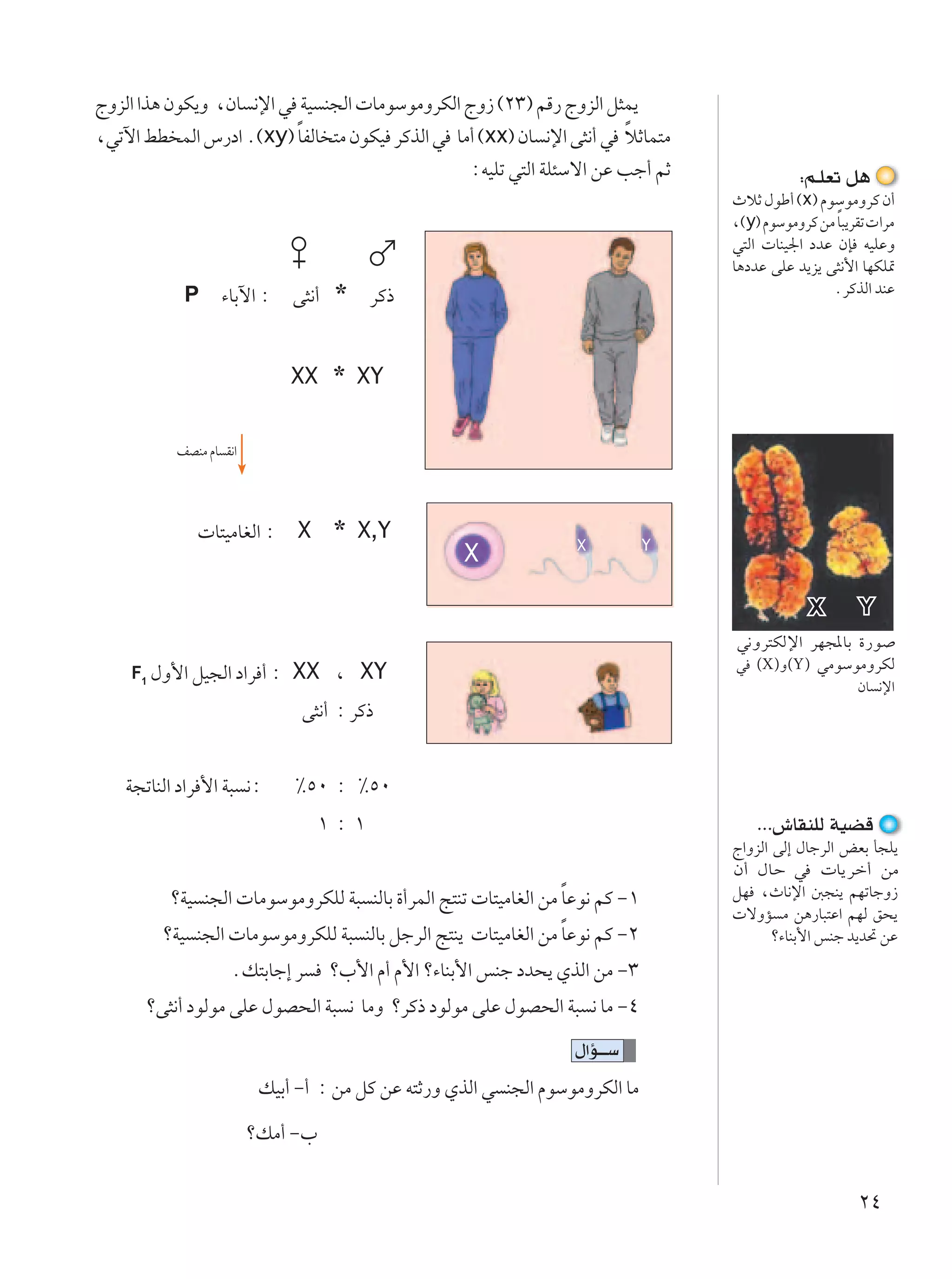 ÃËeÃ« «c¼ ÊuJ¹Ë ¨ÊU ½ù« w WO M−Ã«  UÄuÝuÄËdJÃ« ÃË“ ©≤≥® rÁ— ÃËeÃ« q¦L¹
                          Î                                          Î
¨wðü« jD LÃ« ”—œ« Æ©xy® UHÃU ²Ä ÊuJO dÂcÃ« w UÄ√ ©xx® ÊU ½ù« v¦½√ w öŁUL²Ä
                                               ∫tOKð w²Ã« WK¾Ýô« sŽ Vł√ rŁ                    ∫r?KFð q¼
                                                                                  ÀöŁ ‰uÞ√ ©x® ÂuÝuÄËdÂ Ê√
                                                                                  ¨©y® ÂuÝuÄËdÂ sÄ UÎ ³¹dIð  «dÄ
                                                                                  w²Ã«  UMO'« œbŽ ÊS tOKŽË
                                                                                  U¼œbŽ vKŽ b¹e¹ v¦½_« UNJK9
           P      ¡UÐü« ∫    v¦½√ *    dÂ–                                                        ÆdÂcÃ« bMŽ




                             XX * XY


          nBMÄ ÂU I½«




              U²OÄUGÃ« ∫ X        * X,Y                           X           Y
                                                    X

                                                                                                X        Y
                                                                                  w½Ëd²JÃù« dN−*UÐ …—u
                                                                                  w (X)Ë(Y) wÄuÝuÄËdJÃ
    F1 ‰Ë_« qO−Ã« œ«d     √ ∫ XX ¨ XY
                                                                                                 ÊU ½ù«
                              v¦½√ ∫ dÂ–


   W−ðUMÃ« œ«d _« W³ ½∫      •µ∞ ∫ •µ∞
                                ±∫±                                                   ÆÆÆ‘UIMKÃ WOCÁ
                                                                                  Ã«ËeÃ« vÃ≈ ‰UłdÃ« iFÐ Q−K¹
                                                                                  Ê√ ‰UŠ w  U¹dš√ sÄ
                                                                Î
         øWO M−Ã«  UÄuÝuÄËdJKÃ W³ MÃUÐ …√dLÃ« Z²Mð  U²OÄUGÃ« sÄ UŽu½ rÂ ≠±        qN ¨ÀU½ù« 6−M¹ rNðUłË“
                                                                                   ôËR Ä s¼—U³²Ž« rNÃ o×¹
                                                              Î
        øWO M−Ã«  UÄuÝuÄËdJKÃ W³ MÃUÐ qłdÃ« Z²M¹  U²OÄUGÃ« sÄ UŽu½ rÂ ≠≤                 ø¡UMÐ_« fMł b¹b% sŽ
                   Æp²ÐUł≈ d      ø»_« Â√ Â_« ø¡UMÐ_« fMł œb×¹ ÍcÃ« sÄ ≠≥
      øv¦½√ œuÃuÄ vKŽ ‰uB×Ã« W³ ½ UÄË ødÂ– œuÃuÄ vKŽ ‰uB×Ã« W³ ½ UÄ ≠¥
                                                                  ‰«R???Ý
                         pOÐ√ ≠√ ∫ sÄ qÂ sŽ t²Ł—Ë ÍcÃ« w M−Ã« ÂuÝuÄËdJÃ« UÄ

                        øpÄ√ ≠»


                                                                                                         ≤¥
 
