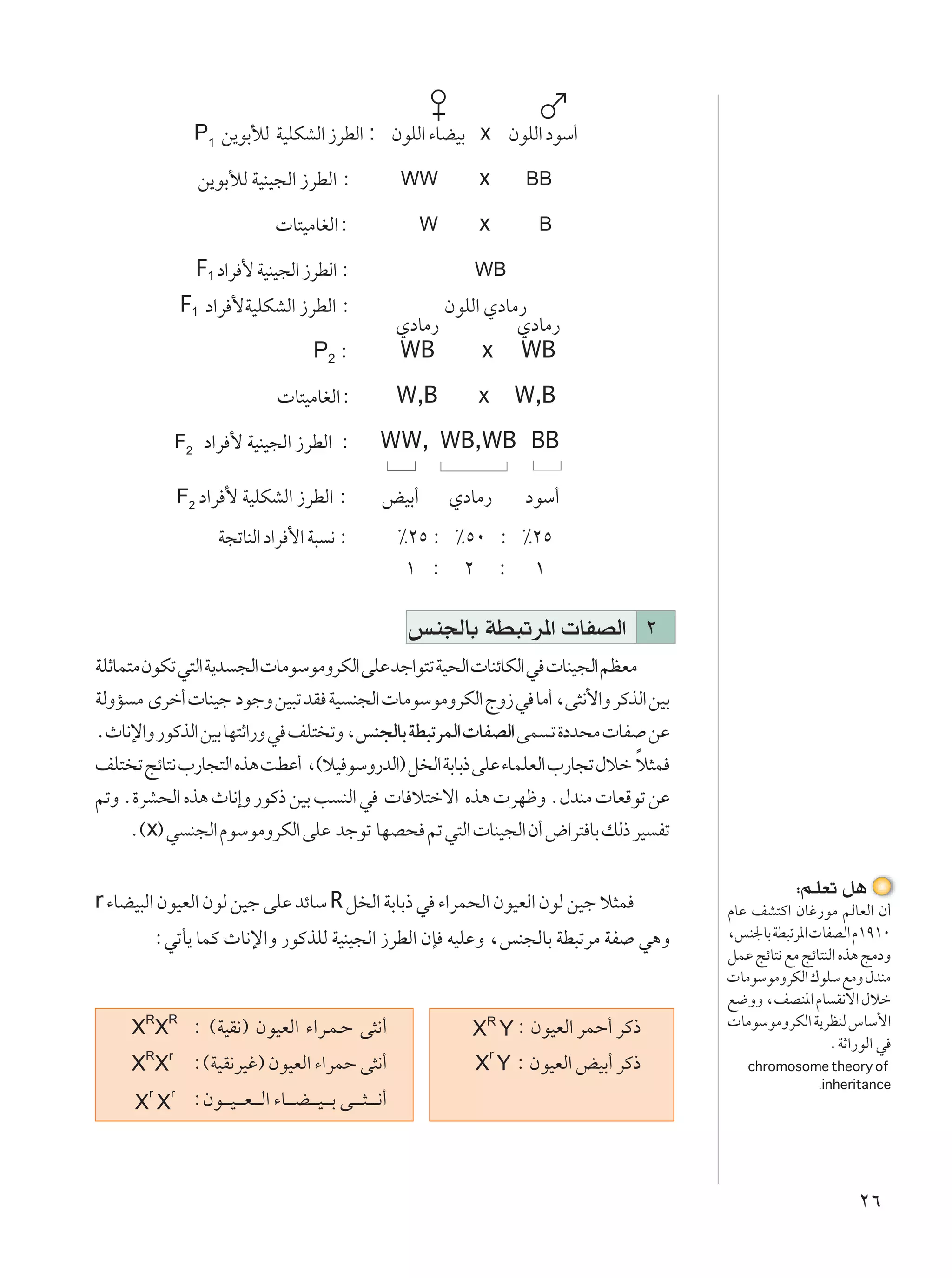 P1 s¹uÐúÃ WOKJAÃ« “dDÃ« : ÊuKÃ« ¡UCOÐ x ÊuKÃ« œuÝ√

              s¹uÐúÃ WOMO−Ã« “dDÃ« ∫                                WW          x     BB

                                    U²OÄUGÃ«∫                         W         x       B

              F1 œ«d _ WOMO−Ã« “dDÃ« ∫                                         WB
           F1 œ«d _WOKJAÃ« “dDÃ« ∫                                          ÊuKÃ« ÍœUÄ—
                                                                    ÍœUÄ—             ÍœUÄ—
                                             P2 ∫                   WB            x WB

                                    U²OÄUGÃ«∫                       W,B         x    W,B

           F2 œ«d _ WOMO−Ã« “dDÃ« ∫                            WW, WB,WB BB

           F2 œ«d _ WOKJAÃ« “dDÃ« ∫                            iOÐ√         ÍœUÄ—     œuÝ√
                    W−ðUMÃ« œ«d _« W³ ½ ∫                           •≤µ ∫ •µ∞ ∫ •≤µ
                                                                     ± ∫ ≤ ∫ ±

                                                                     fM'UÐ WD³ðd*«  UHBÃ« ≤
WKŁUL²Ä ÊuJð w²Ã« W¹b −Ã«  UÄuÝuÄËdJÃ« vKŽ bł«u²ð WO×Ã«  UMzUJÃ« w  UMO−Ã« rEFÄ
WÃËR Ä Èdš√  UMOł œułË sO³ð bI WO M−Ã«  UÄuÝuÄËdJÃ« ÃË“ w UÄ√ ¨v¦½_«Ë dÂcÃ« sOÐ
ÆÀU½ù«Ë —uÂcÃ« sOÐ UN²Ł«—Ë w nK² ðË ¨fM−ÃUÐ WD³ðdLÃ«  UHBÃ« vL ð …œb×Ä  UH sŽ
nK² ð ZzU²½ »—U−²Ã« Ác¼ XDŽ√ ¨©öO uÝË—bÃ«® q Ã« WÐUÐ– vKŽ ¡ULKFÃ« »—U−ð ‰öš ö¦LÎ
rðË Æ…dA×Ã« Ác¼ ÀU½≈Ë —uÂ– sOÐ V MÃ« w  U ö²šô« Ác¼  dNþË Æ‰bMÄ  UFÁuð sŽ
     Æ©x® w M−Ã« ÂuÝuÄËdJÃ« vKŽ błuð UNB× rð w²Ã«  UMO−Ã« Ê√ ÷«d² UÐ pÃ– dO Hð


r ¡UCO³Ã« ÊuOFÃ« ÊuÃ sOł vKŽ bzUÝ R q Ã« WÐUÐ– w ¡«dL×Ã« ÊuOFÃ« ÊuÃ sOł ö¦L
                                                                                                                     ∫r?KFð q¼
                                                                                                         ÂUŽ nA²Â« ÊUž—uÄ rÃUFÃ« Ê√
        ∫wðQ¹ ULÂ ÀU½ù«Ë —uÂcKÃ WOMO−Ã« “dDÃ« ÊS tOKŽË ¨fM−ÃUÐ WD³ðdÄ WH w¼Ë                             ¨fM'UÐ WD³ðd*«  UHBÃ« Â±π±∞
                                                                                                         qLŽ ZzU²½ lÄ ZzU²MÃ« Ác¼ ZÄœË
                                                                                                          UÄuÝuÄËdJÃ« „uKÝ lÄË ‰bMÄ
                                                                                                         l{ËË ¨nBM*« ÂU I½ô« ‰öš
             ∫ ©WOI½® ÊuOFÃ« ¡«d??L?Š v¦½√                                           ∫ ÊuOFÃ« dLŠ√ dÂ–    UÄuÝuÄËdJÃ« W¹dEMÃ ”UÝ_«
                                                                                                                           ÆWŁ«—uÃ« w
             ∫©WOI½dOž® ÊuOFÃ« ¡«dLŠ v¦½√                                            ∫ ÊuOFÃ« iOÐ√ dÂ–      chromosome theory of
                                                                                                                     .inheritance
             ∫Êu?? ?O? ??F? ??Ã« ¡U?? ?C? ??O? ??Ð v?? ??¦? ? ?½√



                                                                                                                                ≤∂
 