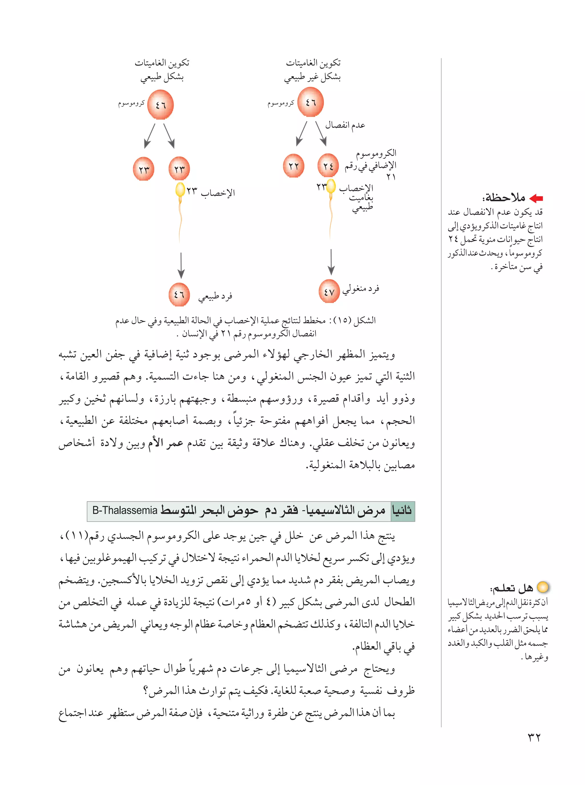  U²OÄUGÃ« s¹uJð                        U²OÄUGÃ« s¹uJð
                 wFO³Þ qJAÐ                           wFO³Þ dOž qJAÐ

            ÂuÝuÄËdÂ                              ÂuÝuÄËdÂ   ¥∂
                       ¥∂
                                                                  ‰UBH½« ÂbŽ

                                                                      ÂuÝuÄËdJÃ«
                            ≤≥                          ≤≤      ≤¥ rÁ— w w U{ù«
                 ≤≥
                                                                             ≤±
                                 ≤≥ »UBšù«                     ≤≥ »UBšù«
                                                                    XOÄUGÐ
                                                                     wFO³Þ
                                                                                                     ∫WEŠöÄ
                                                                                         bMŽ ‰UBH½ô« ÂbŽ ÊuJ¹ bÁ
                                                                                         vÃ≈ ÍœR¹ËdÂcÃ«  U²OÄUž ÃU²½«
                                                                                         ≤¥ qL% W¹uMÄ  U½«uOŠ ÃU²½«
                                                                                         —uÂcÃ« bMŽ Àb×¹Ë ¨ UÎ ÄuÝuÄËdÂ
                                                                                                      Æ…dšQ²Ä sÝ w

                            ¥∂     wFO³Þ œd                       ¥∑ wÃuGMÄ œd

            ÂbŽ ‰UŠ w Ë WOFO³DÃ« WÃU×Ã« w »UBšù« WOKLŽ ZzU²MÃ jD Ä ∫©±µ® qJAÃ«
                           Æ ÊU ½ù« w ≤± rÁ— ÂuÝuÄËdJÃ« ‰UBH½«
t³Að sOFÃ« sHł w WO U{≈ WOMŁ œułuÐ v{dLÃ« ¡ôRNÃ wł—U Ã« dNELÃ« eOL²¹Ë
¨WÄUIÃ« ËdOBÁ r¼Ë .WOL ²Ã«  ¡Uł UM¼ sÄË ¨wÃuGMLÃ« fM−Ã« ÊuOŽ eOLð w²Ã« WOM¦Ã«
dO³ÂË sO Ł rN½U ÃË ¨…“—UÐ rN²N³łË ¨WD ³MÄ rNÝËƒ—Ë ¨…dOBÁ Â«bÁ√Ë b¹√ ËË–Ë
                                   Î
¨WOFO³DÃ« sŽ WHK² Ä rNFÐU √ WLBÐË ¨UOzeł WŠu²HÄ rN¼«u √ qF−¹ ULÄ ¨r−×Ã«
’U ý√ …œôË sOÐË Â_« dLŽ ÂbIð sOÐ WIOŁË WÁöŽ „UM¼Ë .wKIŽ nK ð sÄ Êu½UF¹Ë
                                                             .WOÃuGMLÃ« W¼ö³ÃUÐ sOÐUBÄ


       B-Thalassemia    jÝu²*« d×³Ã« ÷uŠ Âœ dI ≠UOLOÝôU¦Ã« ÷dÄ UO½UŁ
¨©±±®rÁ— Íb −Ã« ÂuÝuÄËdJÃ« vKŽ błu¹ sOł w qKš sŽ ÷dLÃ« «c¼ Z²M¹
¨UNO sOÐuKžuLONÃ« VOÂdð w ‰ö²šô W−O²½ ¡«dL×Ã« ÂbÃ« U¹ö Ã l¹dÝ d Jð vÃ≈ ÍœR¹Ë
r C²¹Ë .sO− Â_UÐ U¹ö Ã« b¹Ëeð hI½ vÃ≈ ÍœR¹ ULÄ b¹bý Âœ dIHÐ i¹dLÃ« »UB¹Ë
                                                                                                       ∫r?KFð q¼
sÄ hK ²Ã« w tKLŽ w …œU¹eKÃ W−O²½ © «dÄµ Ë√ ¥® dO³Â qJAÐ v{dLÃ« ÈbÃ ‰U×DÃ«                UOLOÝôU¦Ã«i ¹dÄ vÃ≈ ÂbÃ«qI½ …d¦Â Ê√
                                                                                         dO³Â qJAÐ b¹b(« VÝdð V³ ¹
WýUA¼ sÄ i¹dLÃ« w½UF¹Ë tłuÃ« ÂUEŽ W UšË ÂUEFÃ« r C²ð pÃcÂË ¨WHÃU²Ã« ÂbÃ« U¹öš            ¡UCŽ√ sÄ b¹bFÃUÐ —dCÃ« o×K¹ U2
                                                                        .ÂUEFÃ« wÁUÐ w   œbGÃ«Ë b³JÃ«Ë VKIÃ« q¦Ä tL ł
                                                                                                                 ÆU¼dOžË
                          Î
sÄ Êu½UF¹ r¼Ë rNðUOŠ ‰«uÞ U¹dNý Âœ  UŽdł vÃ≈ UOLOÝôU¦Ã« v{dÄ ÃU²×¹Ë
                   ø÷dLÃ« «c¼ À—«uð r²¹ nOJ .W¹UGKÃ W³F WO× Ë WO H½ ·Ëdþ
ŸUL²ł« bMŽ dNE²Ý ÷dLÃ« WH ÊS ¨WO×M²Ä WOŁ«—Ë …dHÞ sŽ Z²M¹ ÷dLÃ« «c¼ Ê√ ULÐ
                                                                                                                    ≥≤
 