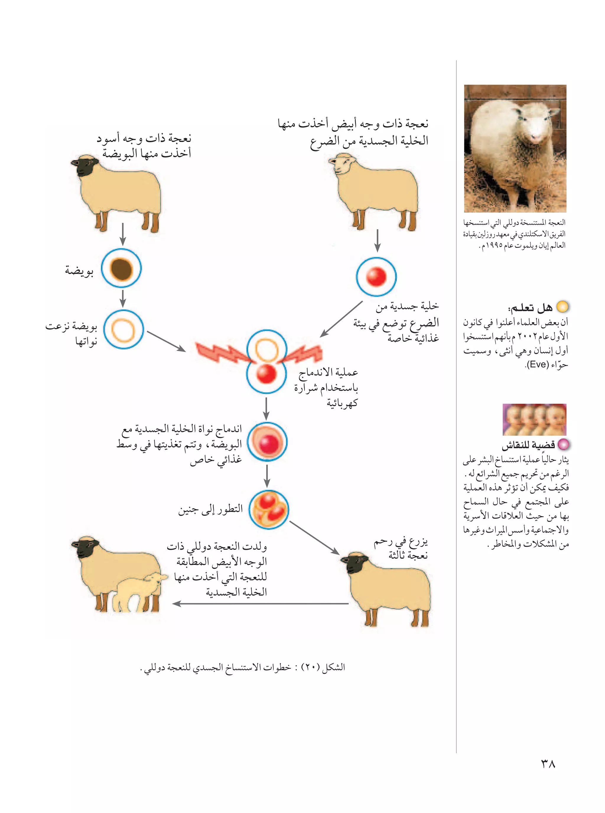 UNMÄ  cš√ iOÐ√ tłË  «– W−F½
            œuÝ√ tłË  «– W−F½                              ŸdCÃ« sÄ W¹b −Ã« WOK Ã«
             WC¹u³Ã« UNMÄ  cš√



                                                                                             UN M²Ý« w²Ã« wKÃËœ W M² *« W−FMÃ«
                                                                                             …œUOIÐ 5Ã“Ë— bNFÄ w ÍbMK²JÝô« o¹dHÃ«
                                                                                                    ÆÂ±ππµ ÂUŽ  uLK¹Ë ÊU¹≈ rÃUFÃ«

    WC¹uÐ

                                                                             sÄ W¹b ł WOKš                  ∫r?KFð q¼
XŽe½ WC¹uÐ                                                             W¾OÐ w l{uð ŸdCÃ«     Êu½UÂ w «uMKŽ√ ¡ULKFÃ« iFÐ Ê√
      UNð«u½                                                                   W Uš WOz«cž   «u M²Ý« rN½QÐ Â ≤∞∞≤ ÂUŽ ‰Ë_«
                                                                                             XOLÝË ¨v¦½√ w¼Ë ÊU ½≈ ‰Ë√
                                                                                                              .(Eve) ¡«uŠ
                                                                                                                        Ò
                                                         ÃUÄb½ô« WOKLŽ
                                                        …—«dý Â«b ²ÝUÐ
                                                                WOzUÐdNÂ
                lÄ W¹b −Ã« WOK Ã« …«u½ ÃUÄb½«
               jÝË w UN²¹cGð r²ðË ¨WC¹u³Ã«                                                                ‘UIMKÃ WOCÁ
                               ’Uš wz«cž                                                     vKŽ dA³Ã« ŒU M²Ý« WOKLŽ UÎ OÃUŠ —U¦¹
                                                                                             ÆtÃ lz«dAÃ« lOLł .d% sÄ rždÃ«
                                                                                             WOKLFÃ« Ác¼ dŁRð Ê√ sJ1 nOJ
                                                                                             ÕUL Ã« ‰UŠ w lL²−*« vKŽ
                             sOMł vÃ≈ —uD²Ã«                                                 W¹dÝ_«  UÁöFÃ« YOŠ sÄ UNÐ
                                                                                             U¼dOžË À«dO*« fÝ√Ë WOŽUL²łô«Ë
                            «– wKÃËœ W−FMÃ«  bÃË                           rŠ— w Ÿ—e¹               ÆdÞU *«Ë  öJA*« sÄ
                             WIÐUDLÃ« iOÐ_« tłuÃ«                            W¦ÃUŁ W−F½
                            UNMÄ  cš√ w²Ã« W−FMKÃ
                                    W¹b −Ã« WOK Ã«




                    ÆwKÃËœ W−FMKÃ Íb −Ã« ŒU M²Ýô«  «uDš ∫ ©≤∞® qJAÃ«




                                                                                                                        ≥∏
 