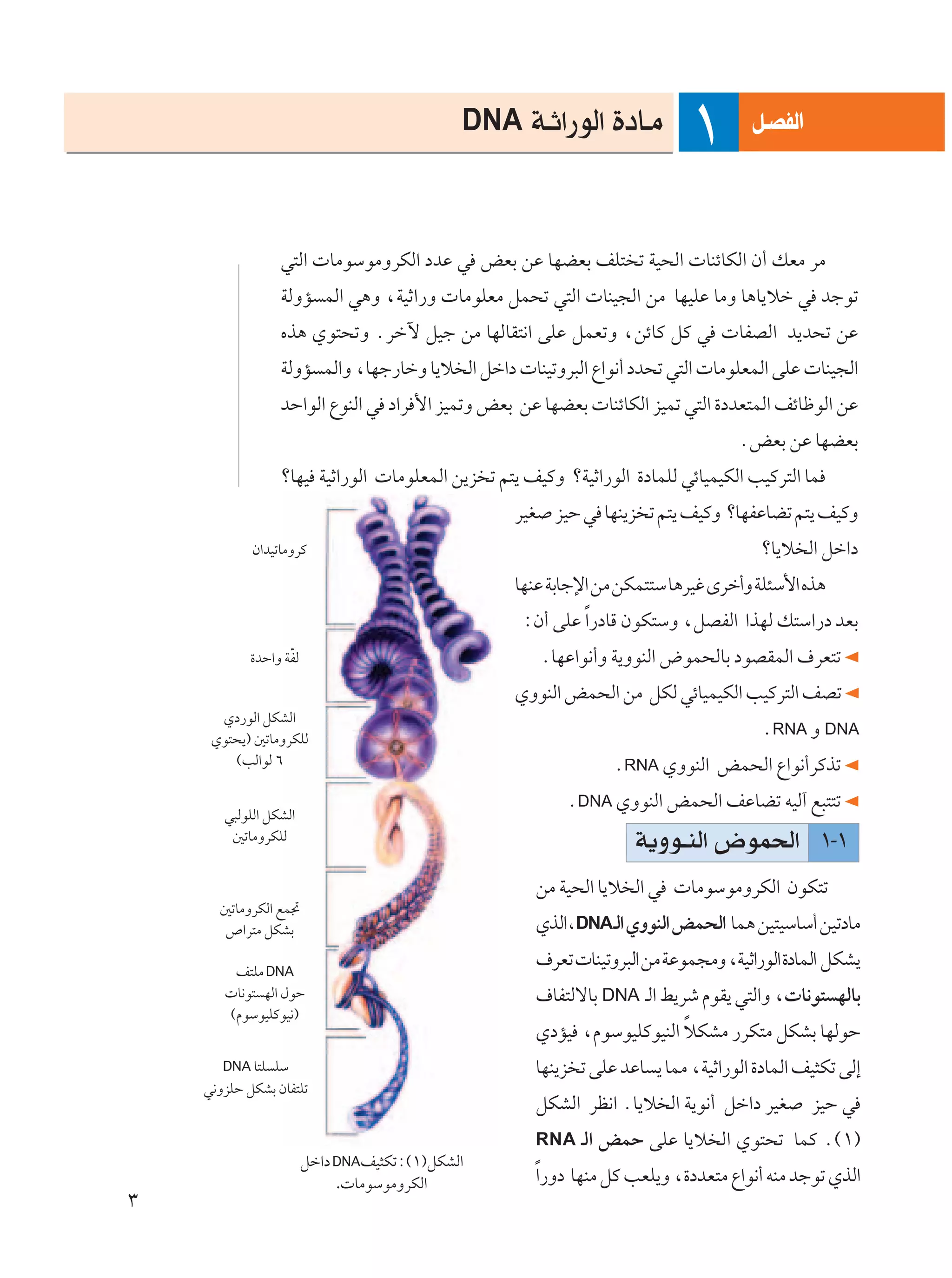 DNA W?Ł«—uÃ« …œU?Ä                     q?BHÃ«
                                                                            ±
                  w²Ã«  UÄuÝuÄËdJÃ« œbŽ w iFÐ sŽ UNCFÐ nK² ð WO×Ã«  UMzUJÃ« Ê√ pFÄ dÄ
                  WÃËR LÃ« w¼Ë ¨WOŁ«—Ë  UÄuKFÄ qL×ð w²Ã«  UMO−Ã« sÄ UNOKŽ UÄË U¼U¹öš w błuð
                  Ác¼ Íu²×ðË Ædšü qOł sÄ UNÃUI²½« vKŽ qLFðË ¨szUÂ qÂ w  UHBÃ« b¹b×ð sŽ
                  WÃËR LÃ«Ë ¨UNł—UšË U¹ö Ã« qš«œ  UMOðËd³Ã« Ÿ«u½√ œb×ð w²Ã«  UÄuKFLÃ« vKŽ  UMO−Ã«
                  bŠ«uÃ« ŸuMÃ« w œ«d _« eOLðË iFÐ sŽ UNCFÐ  UMzUJÃ« eOLð w²Ã« …œbF²LÃ« nzUþuÃ« sŽ
                                                                                  ÆiFÐ sŽ UNCFÐ
                  øUNO WOŁ«—uÃ«  UÄuKFLÃ« s¹e ð r²¹ nOÂË øWOŁ«—uÃ« …œULKÃ wzUOLOJÃ« VOÂd²Ã« UL
                                                   dOG eOŠ w UNM¹e ð r²¹ nOÂË øUNHŽUCð r²¹ nOÂË
            Ê«bOðUÄËdÂ                                                                øU¹ö Ã« qš«œ
                                                   UNMŽ WÐUłù« sÄ sJL²²Ý U¼dOž Èdš√Ë WK¾Ý_« Ác¼
                                                    ∫Ê√ vKŽ Î«—œUÁ ÊuJ²ÝË ¨qBHÃ« «cNÃ p²Ý«—œ bFÐ
            …bŠ«Ë WÒHÃ                                ÆUNŽ«u½√Ë W¹ËuMÃ« ÷uL×ÃUÐ œuBILÃ« ·dF²ð
                                                   ÍËuMÃ« iL×Ã« sÄ qJÃ wzUOLOJÃ« VOÂd²Ã« nBð
      Íœ—uÃ« qJAÃ«
     Íu²×¹® 5ðUÄËdJKÃ
                                                                                      ÆRNA Ë DNA
        ©VÃ«uÃ ∂                                                ÆRNA ÍËuMÃ« iL×Ã« Ÿ«u½√dÂcð
                                                          ÆDNA ÍËuMÃ« iL×Ã« nŽUCð tOÃ¬ l³²²ð
       w³ÃuKÃ« qJAÃ«
        5ðUÄËdJKÃ                                                   W¹Ëu?MÃ« ÷uL(« ±≠±
                                                     sÄ WO×Ã« U¹ö Ã« w  UÄuÝuÄËdJÃ« ÊuJ²ð
      5ðUÄËdJÃ« lL&
      ’«d²Ä qJAÐ                                     ÍcÃ«¨DNA ?Ã« ÍËuMÃ« iL×Ã« UL¼ sO²OÝUÝ√ sOðœUÄ
                                                     ·dFð  UMOðËd³Ã« sÄ WŽuL−ÄË ¨WOŁ«—uÃ« …œULÃ« qJA¹
        n²KÄ DNA
        U½u² NÃ« ‰uŠ                                 ·UH²ÃôUÐ DNA ?Ã« j¹dý ÂuI¹ w²Ã«Ë ¨ U½u² NÃUÐ
       ©ÂuÝuOKÂuO½®
                                                                        Î
                                                     ÍœRO ¨ÂuÝuOKÂuOMÃ« öJAÄ —dJ²Ä qJAÐ UNÃuŠ
       DNA U²K KÝ                                    UNM¹e ð vKŽ bŽU ¹ ULÄ ¨WOŁ«—uÃ« …œULÃ« nO¦Jð vÃ≈
    w½ËeKŠ qJAÐ ÊUH²Kð
                                                     qJAÃ« dE½« ÆU¹ö Ã« W¹u½√ qš«œ dOG        eOŠ w
                                                     RNA    ?Ã« iLŠ vKŽ U¹ö Ã« Íu²×ð ULÂ Æ©±®
                         qš«œ DNAnO¦Jð∫©±®qJAÃ«
                              . UÄuÝuÄËdJÃ«
                                                     Î«—Ëœ UNMÄ qÂ VFK¹Ë ¨…œbF²Ä Ÿ«u½√ tMÄ błuð ÍcÃ«
≥
 