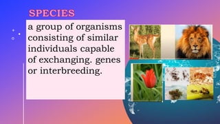 a group of organisms
consisting of similar
individuals capable
of exchanging. genes
or interbreeding.
 