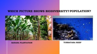 BANANA PLANTATION
WHICH PICTURE SHOWS BIODIVERSITY?POPULATION?
TUBBATAHA REEF
 