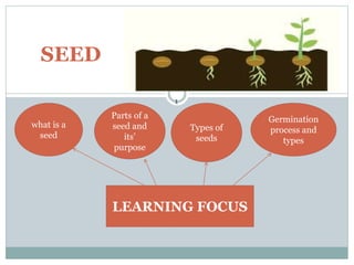1
SEED
what is a
seed
Parts of a
seed and
its’
purpose
Germination
process and
types
Types of
seeds
LEARNING FOCUS
 