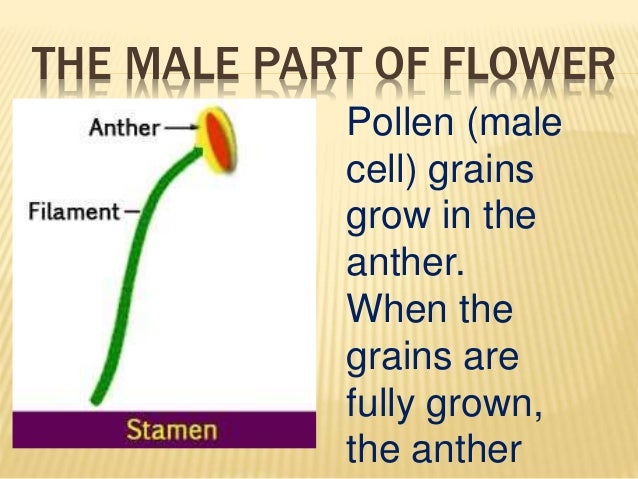 Science notes grade 6