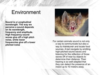 Environment
Sound is a Longitudinal
wavelength. The way we
perceive a sound depends
on its wavelength,
frequency and amplitude.
High frequency sound
waves give off a high pitch
noise, while lower
frequencies give off a lower   For certain animals sound is not only
pitched noise                    a way to communicate but also a
                                 way to maneuver and locate food
                                 sources. A bat navigate by emitting
                                 high-pitched sound waves and
                                 listening for the reflection of those
                                 waves off of near by objects to
                                 determine their distance. Their
                                 hearing is so well adapted that
                                 they can detect the presence of an
                                 insect up to 10 meters away.
 