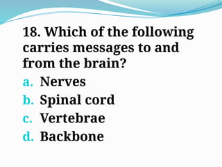 18. Which of the following
carries messages to and
from the brain?
a. Nerves
b. Spinal cord
c. Vertebrae
d. Backbone
 