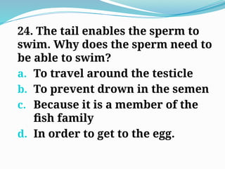 24. The tail enables the sperm to
swim. Why does the sperm need to
be able to swim?
a. To travel around the testicle
b. To prevent drown in the semen
c. Because it is a member of the
fish family
d. In order to get to the egg.
 