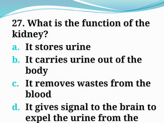 27. What is the function of the
kidney?
a. It stores urine
b. It carries urine out of the
body
c. It removes wastes from the
blood
d. It gives signal to the brain to
expel the urine from the
 