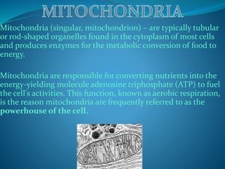 Mitochondria (singular, mitochondrion) – are typically tubular
or rod-shaped organelles found in the cytoplasm of most cells
and produces enzymes for the metabolic conversion of food to
energy.
Mitochondria are responsible for converting nutrients into the
energy-yielding molecule adenosine triphosphate (ATP) to fuel
the cell's activities. This function, known as aerobic respiration,
is the reason mitochondria are frequently referred to as the
powerhouse of the cell.
 