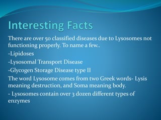 There are over 50 classified diseases due to Lysosomes not
functioning properly. To name a few..
-Lipidoses
-Lysosomal Transport Disease
-Glycogen Storage Disease type II
The word Lysosome comes from two Greek words- Lysis
meaning destruction, and Soma meaning body.
- Lysosomes contain over 3 dozen different types of
enzymes
 