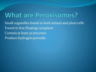 Small organelles found in both animal and plant cells
Found in free floating cytoplasm
Contain at least 50 enzymes
Produce hydrogen peroxide
 