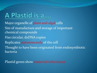 Major organelle of plant and algal cells
Site of manufacture and storage of important
chemical compounds
Has circular, dsDNA copies
Replicates autonomously of the cell
Thought to have been originated from endosymbiotic
bacteria
Plastid genes show maternal inheritance
 