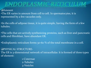 Amount
•The ER varies in amount from cell to cell. In spermatocytes, it is
represented by a few vacuoles only.
•In the cells of adipose tissue, it is quite simple, having the form of a few
tubules.
•The cells that are actively synthesizing proteins, such as liver and pancreatic
cells and fibroblast, have abundant ER.
•Endoplasmic reticulum forms 30-60 % of the total membrane in a cell.
PHYSICAL STRUCTURE-
The ER is 3-dimensional network of intracellular. It is formed of three types
of element:
1-Cisternae
2-Tubules
3-Vesicles
 