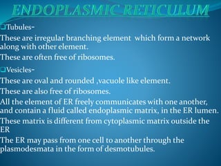 Tubules-
These are irregular branching element which form a network
along with other element.
These are often free of ribosomes.
Vesicles-
These are oval and rounded ,vacuole like element.
These are also free of ribosomes.
All the element of ER freely communicates with one another,
and contain a fluid called endoplasmic matrix, in the ER lumen.
These matrix is different from cytoplasmic matrix outside the
ER
The ER may pass from one cell to another through the
plasmodesmata in the form of desmotubules.
 