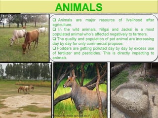 Resource: www.google.co.in
 