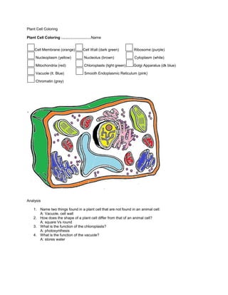 Plant Cell Coloring <br />Plant Cell Coloring ……………………Name <br />Cell Membrane (orange)Cell Wall (dark green)       Ribosome (purple)  Nucleoplasm (yellow)     Nucleolus (brown)            Cytoplasm (white) Mitochondria (red)          Chloroplasts (light green)Golgi Apparatus (dk blue)  Vacuole (lt. Blue)            Smooth Endoplasmic Reticulum (pink) Chromatin (gray)                                <br />  <br />Analysis <br />,[object Object]
